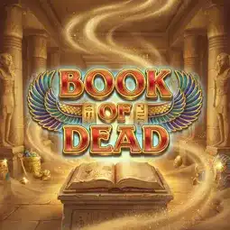Book of Dead gra w Welle Casino dla graczy z Polski