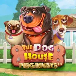 The Dog House Megaways gra w Welle Casino dla graczy z Polski