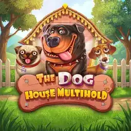 The Dog House Multihold gra w Welle Casino dla graczy z Polski